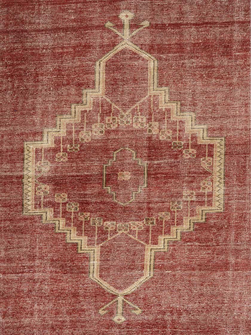 Cimislia Hand Knotted Carpet